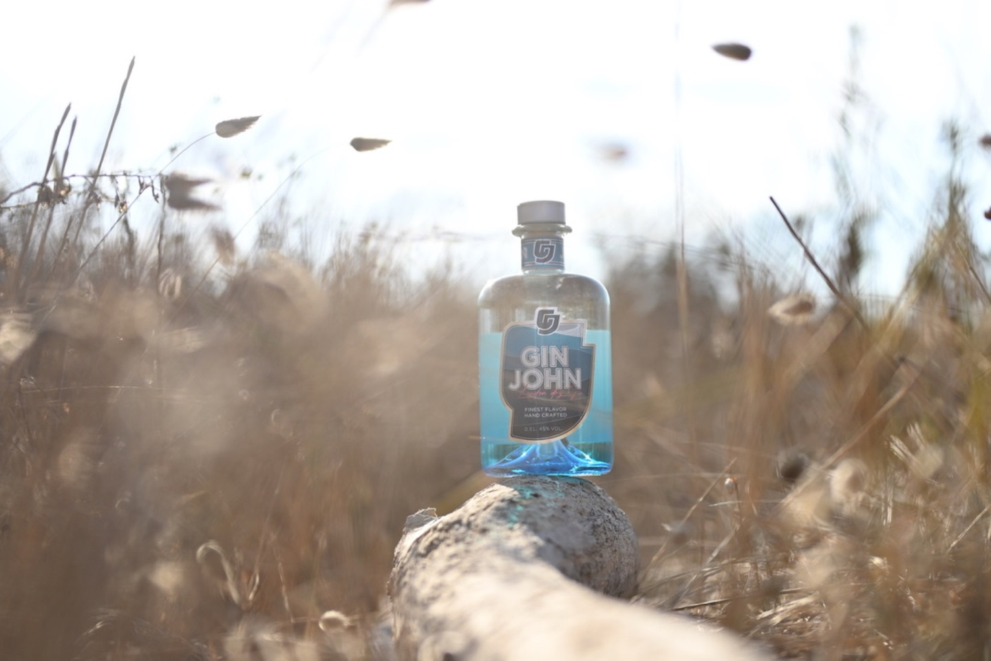 Gin John auf Treibholz in goldenem Gras am Atlantik
